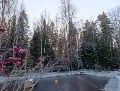 Осельки - 50