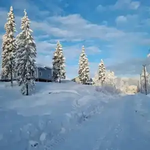 Уютные дома в Заячьей горке - 17