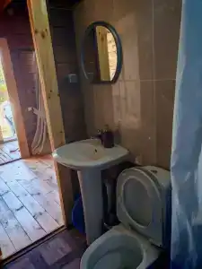 Клевер - 16