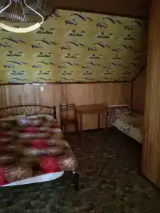 Азовские Зори - 41