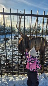 Усадьба Сорочаны - 121