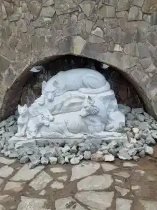 Квартиры на Сосновой 8 - 295