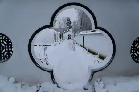 Хэйлун - 281