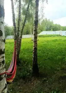Birch Corner - 3