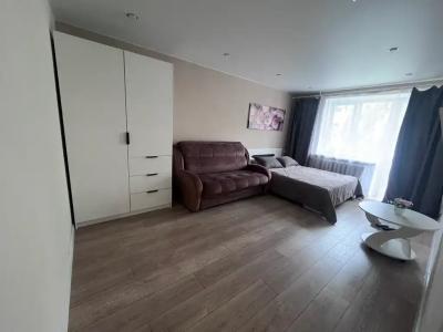 Апартамент у Верхнего озера - 16