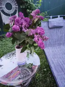 Лисапедово - 114