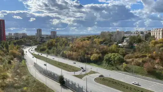 Васаби - 16