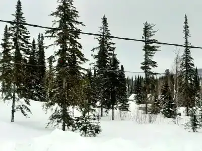 Тималь - 23