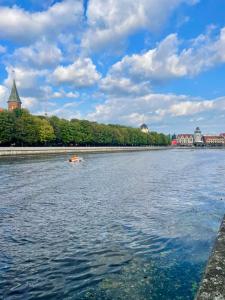 Квартиры на Старопрегольской набережной 16 - 284