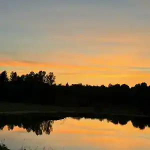 Кромбас - 131