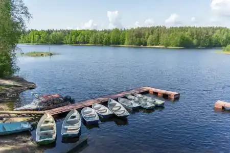 Ромашка - 12