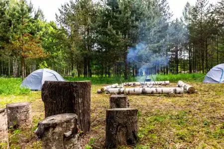 БарнХаус - 35