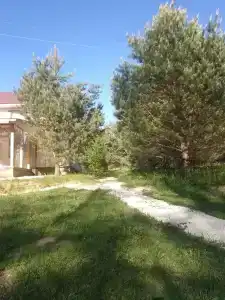 Хитрый Лис - 6