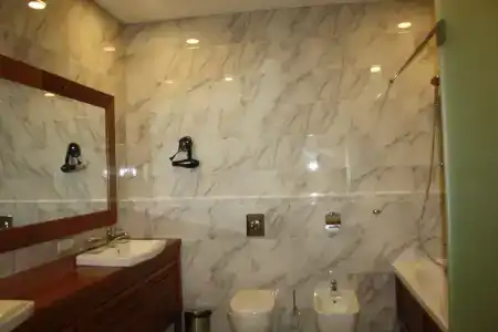 ДЭМ - 118