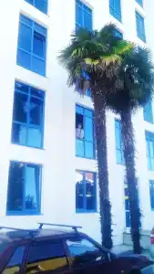 Квартиры на Цветочной 34 - 578