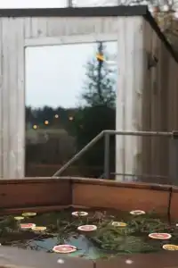 Частный дом с баней и чаном у воды и леса - 60