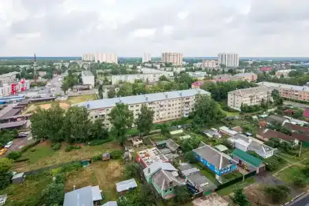 Мирт - 63