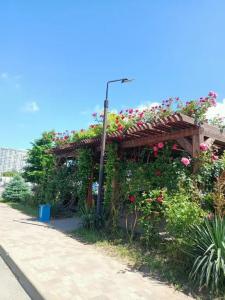 Квартиры на Анапском шоссе 6к2 - 64