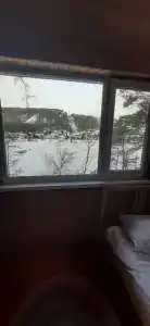 Брусника - 55