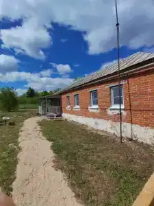 Антоновские яблоки - 5