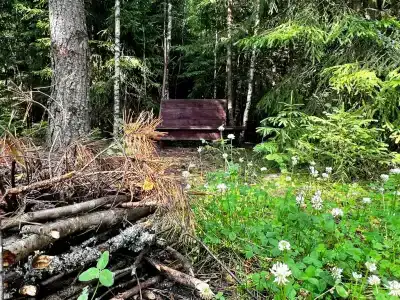 Жили-были - 29