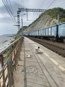 Вилла в Горах с Великолепным Видом - 15
