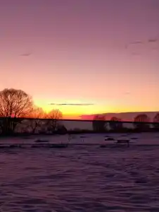 Дом Берендей - 40