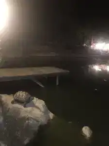 Домик у озера - 25