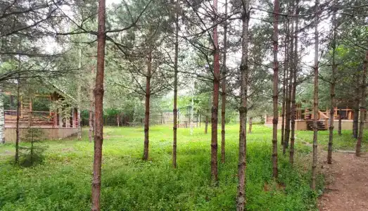 Валдайские дачи - 22