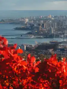 Квартиры на Пионерской 23 - 19