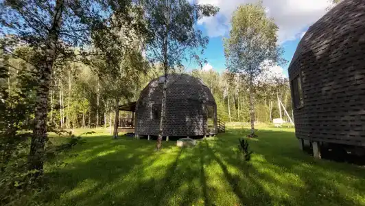 Кедровая сфера - 27