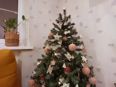 на Суворова - 33