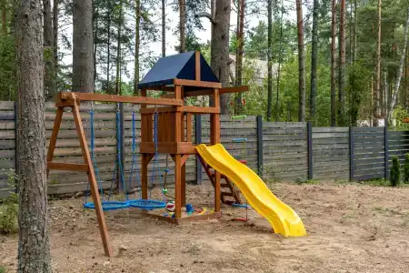 Тень сосны - 31