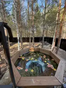 Гостевой дом с баней и чаном в лесу - 4