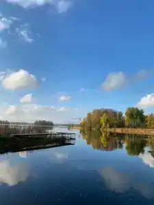 Родная Усадьба - 110