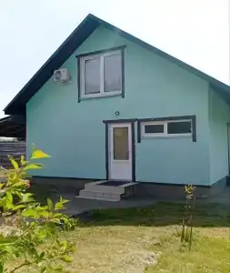 Васильки - 13