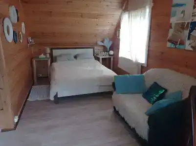 Дом для отдыха с русской баней - 28