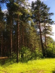 Дом Zarechye с русской баней и горячей купелью - 100