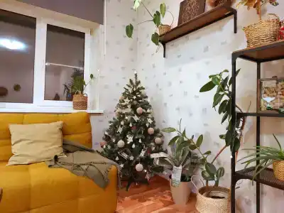 на Суворова - 32