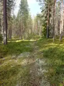 Домик для отдыха в Юшкозере - 2