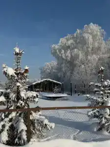 Капитан - 37