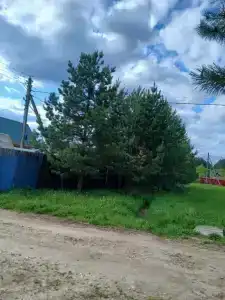 Деревянный дом в Сергеихе - 12