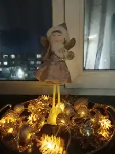 На Петрозаводской, 28 - 11