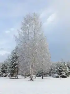 Дыхание - 78