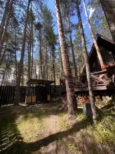 Сказочный дом в лесу - 24