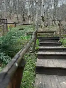 Дом совы - 14