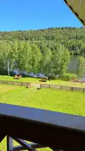 Прилесье - 75