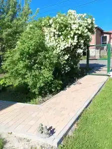 Дом на Куршской косе - 2