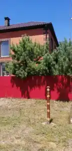 Уютный домик в тихом спальном районе - 0