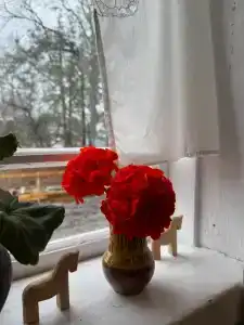 как у бабушки - 14